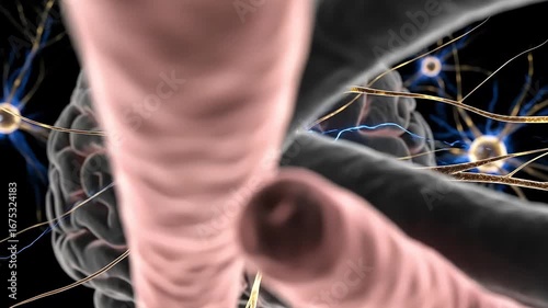 Digital Animation of Neuron Firing in Brain with Lightning Effect, Cinematic