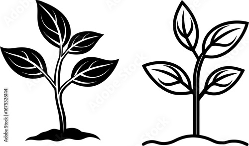 Growing plant set, Set of growing plants, growing plant collection, Vector of growing plants, growing plant silhouette, growing plant isolated on white background