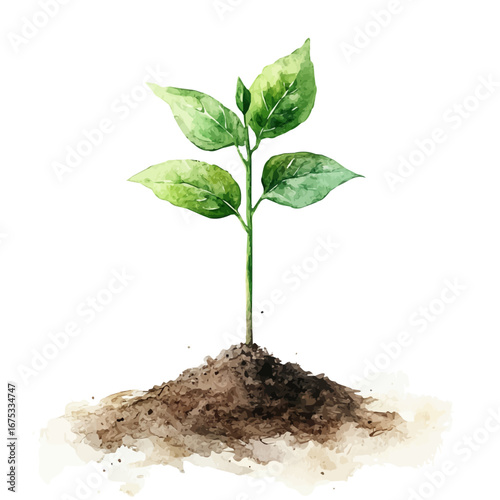 watercolor vector of Green Shoots, isolated on a white background.