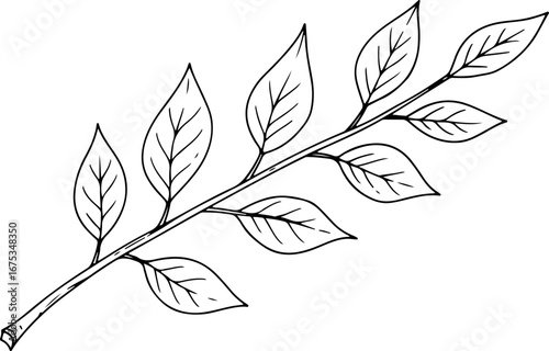 vector illustration of a branch with leaves