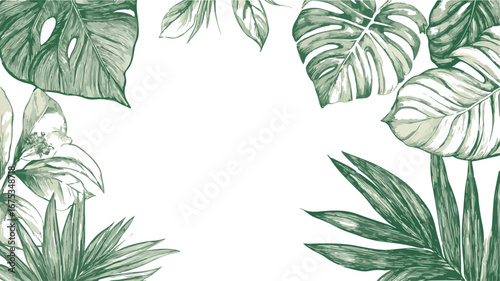 Archway of lush green tropical jungle foliage and monstera leaves creating a natural frame