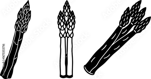Asparagus set, Set of asparagus, asparagus collection, Vector of asparagus, asparagus silhouette, asparagus isolated on white background