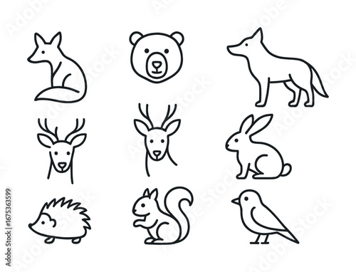 Outline illustrations of forest animals including fox, bear, deer, rabbit, hedgehog, squirrel, bird