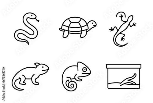 Set of reptile icons: snake, turtle, lizard, gecko, iguana, chameleon, terrarium