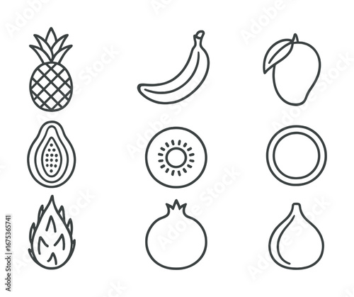 Tropical fruits outline collection: pineapple, banana, mango, papaya, kiwi, dragon fruit