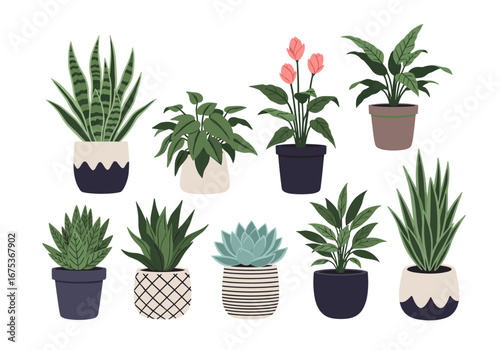 A collection of beautifully illustrated potted houseplants bringing nature indoors for home decor and wellbeing