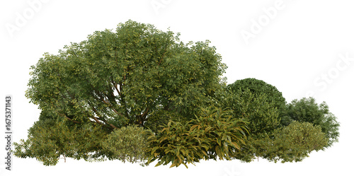 3D Illustration of Various Shrubs and Blooming Flowers Isolated on Transparent Background	