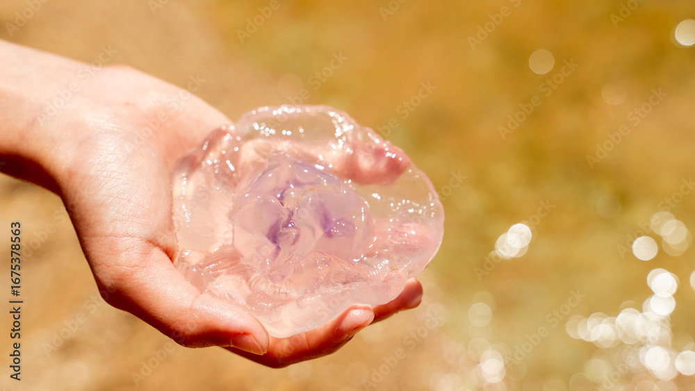 Fototapeta premium The boy holds a jellyfish
