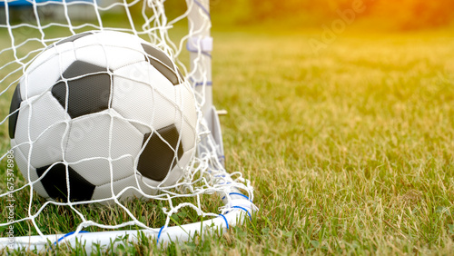 football in a gate grid on a green lawn