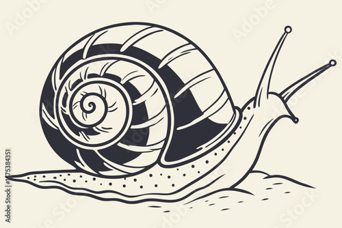 Desert wildlife snail icon illustration