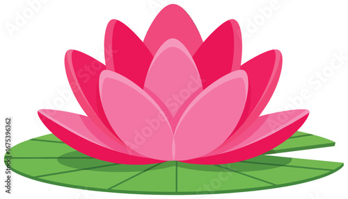 Lotus vector illustration showing a pink flower with layered petals placed on a green floating leaf designed in flat cartoon style for decorative and creative artwork