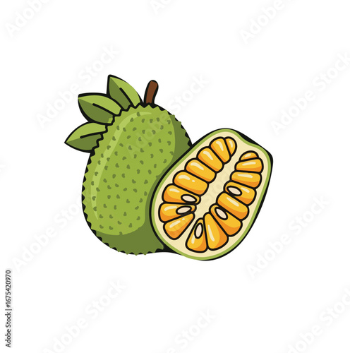 “Fresh Green Jackfruit with Leaves – Vector Illustration”