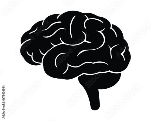 Silhouette of a human brain showcasing intelligence, learning, and cognitive function