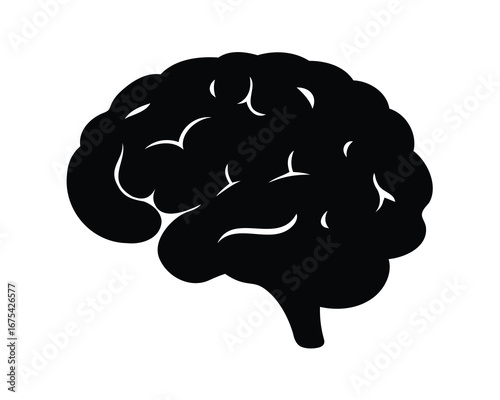 Simplified Brain Illustration Showing Complexity and Understanding of the Human Mind