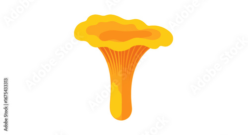 Golden chanterelle mushroom illustration with a wavy, funnel-shaped cap and ridged stem.