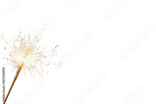 White And Gold Sparkler Burst Against Black Background