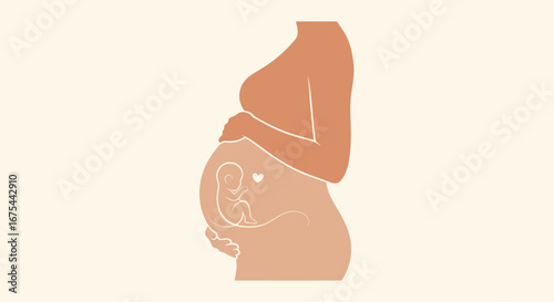 Illustration of a pregnant woman's silhouette with a baby's internal organs visible, against a soft background.