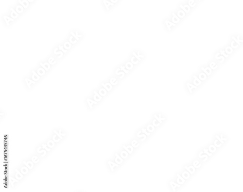 White stars with a transparent background	