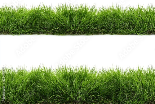 Two horizontal rows of vibrant green grass blades against a white background