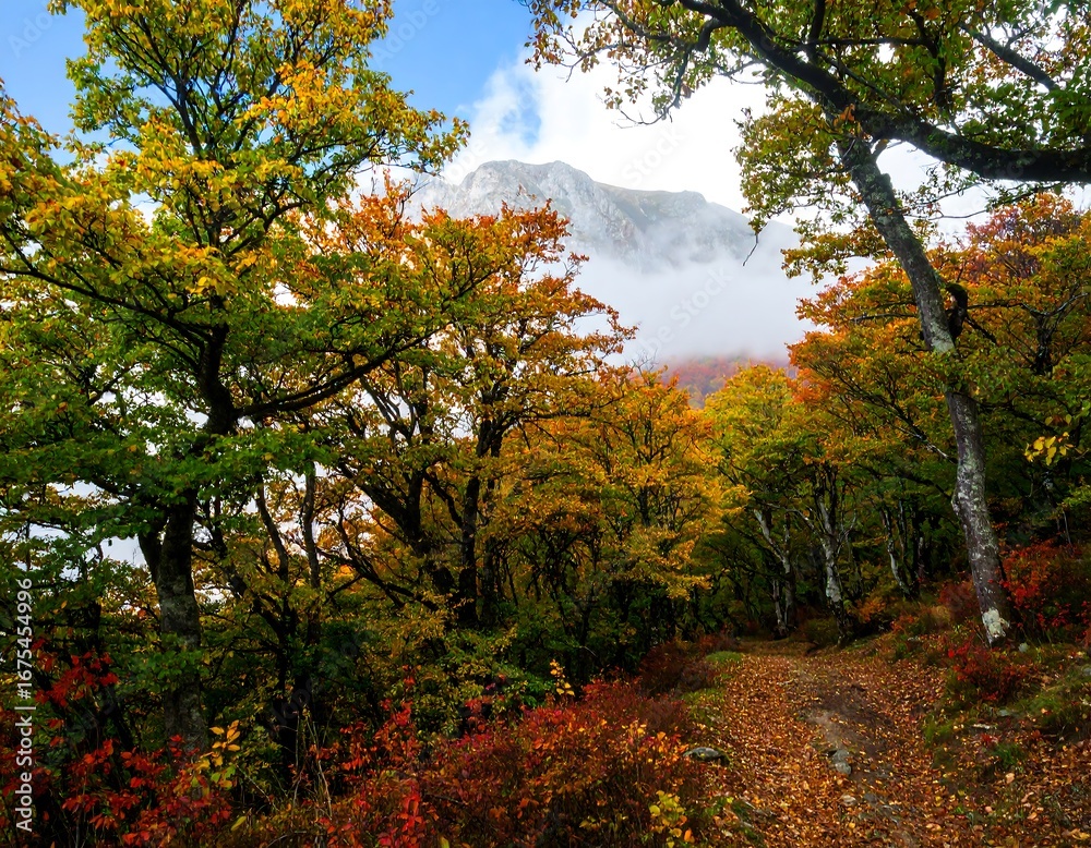 Naklejka premium Autumn forest path with mountain backdrop
