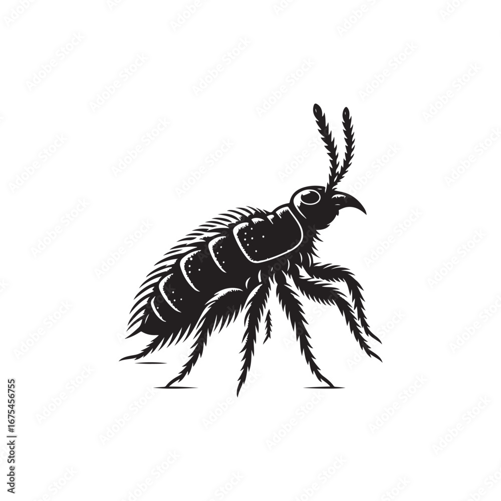 Obraz premium Flea Vector (3).eps