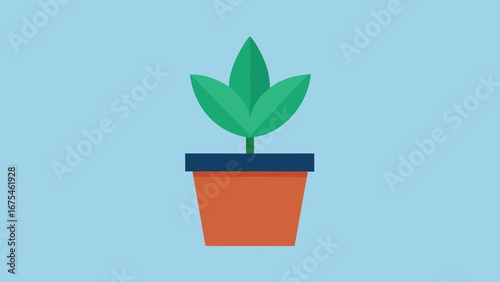 Simple Flat Design Potted Plant with Green Leaves on Blue Background houseplant foliage