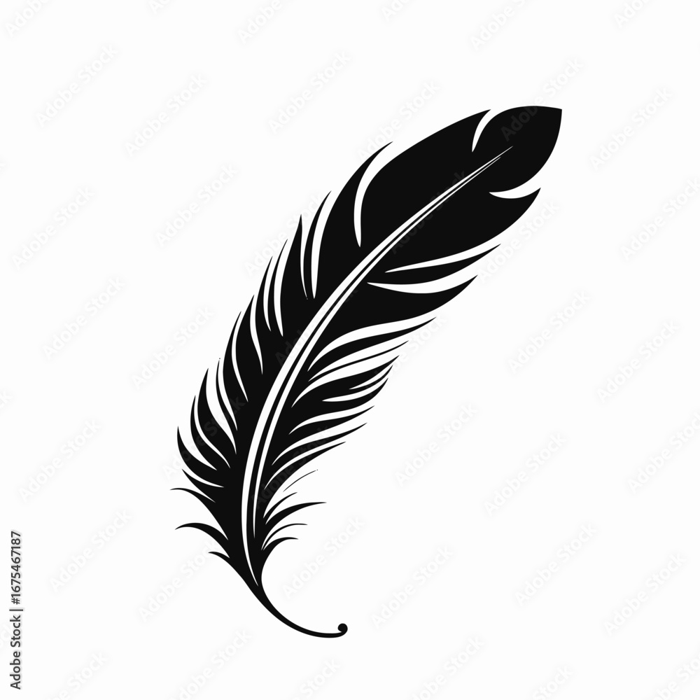 Fototapeta premium Elegant detailed bird feather with black and white color scheme silhouette
