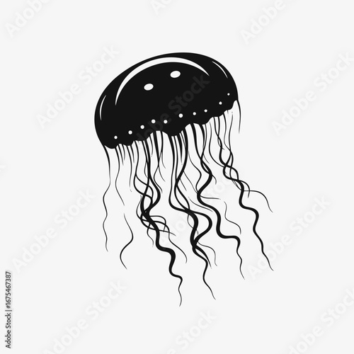 Simple dark sea jellyfish with waving tentacles on white background silhouette