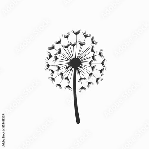 Graphic minimalist fluffy dandelion seed head against white background silhouette
