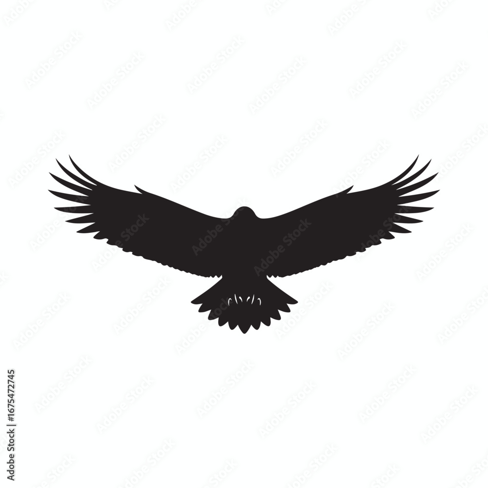 soaring eagle or hawk wings open vector. soaring eagle or hawk wings open vector.