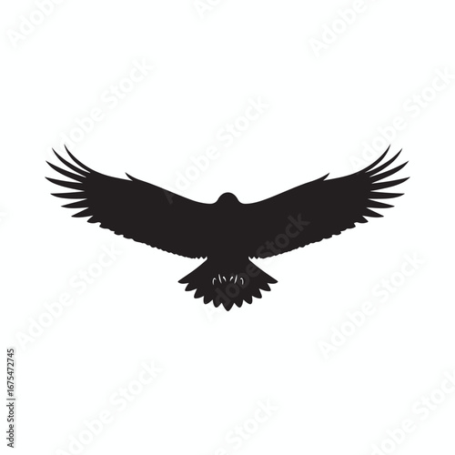 soaring eagle or hawk wings open vector.