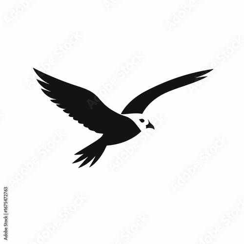 Striking falcon soars powerfully across a crisp white backdrop silhouette