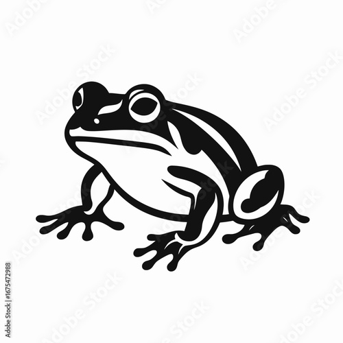 Striking black and white amphibian vector art in detailed frog silhouette