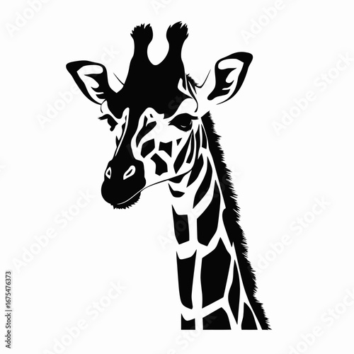 Majestic giraffe portrait black and white vector african animal wildlife silhouette