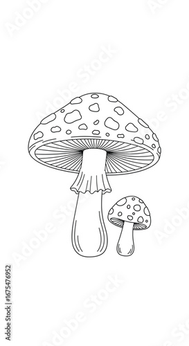 Stylized outline drawing of two spotted fly agaric mushrooms with detailed caps and stems