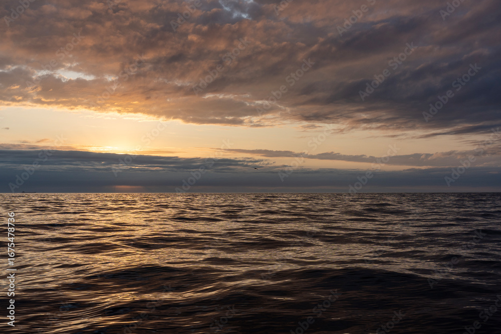 Obraz premium A breathtaking sunset casts warm hues across the ocean, with birds flying gracefully in the golden glow. The tranquil water reflects the vibrant colors as the day ends. Barents Sea, Teriberka.