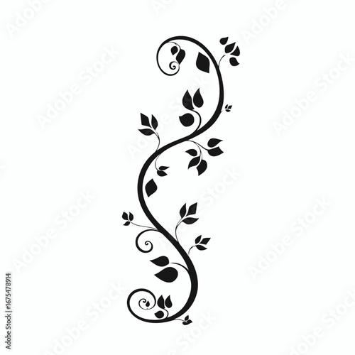 Elegant black vine with swirling tendrils and delicate leaves silhouette