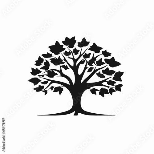 Elegant vector oak tree showing branches and leaves stylized silhouette