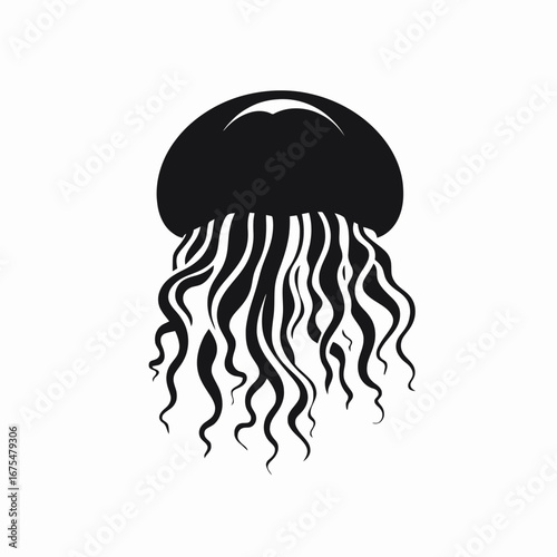 Graceful, black, elegant jellyfish with long tentacles in detailed vector silhouette