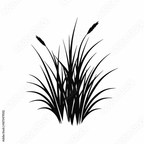 Graphic grass clump, black vector botanical illustration organic prairie silhouette