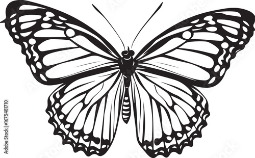 Abstract modern seamless pattern of monarch butterfly contours on white background for decoration design.