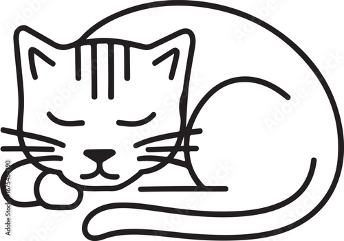 vector illustration of a cat sleeping on a white background