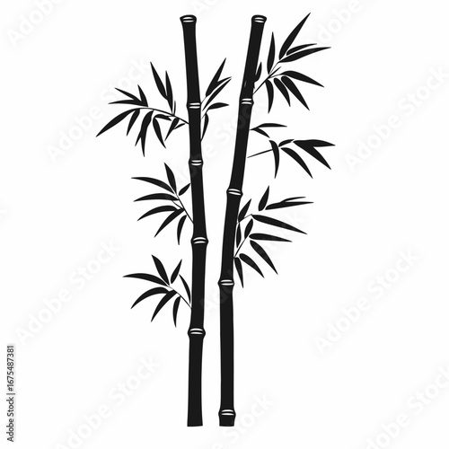 Two bamboo stalks with lush leaves creating a stark, graphic silhouette