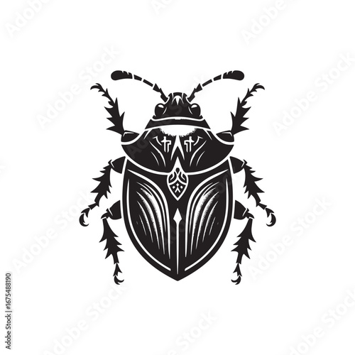 Shield Bug Vector (1).eps