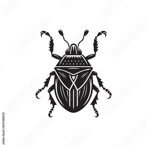Shield Bug Vector (3).eps