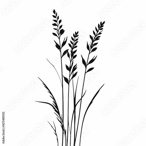 Minimalist botanical illustration with tall grass and leaves in black silhouette