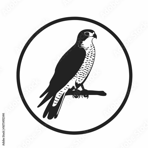 Striking falcon perching on branch, bold graphical black and white silhouette