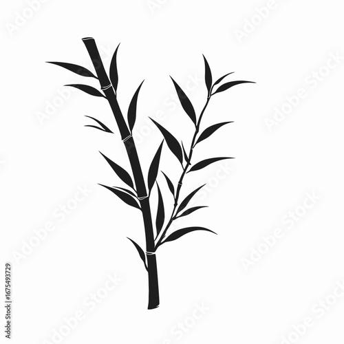 Elegant black and white bamboo leaves and stalk plant silhouette