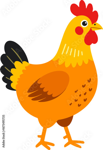 Colorful Chicken Rooster Farm Animal Illustration
