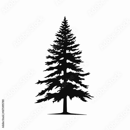 Evergreen beauty: A timeless coniferous tree, simply elegant vector tree silhouette